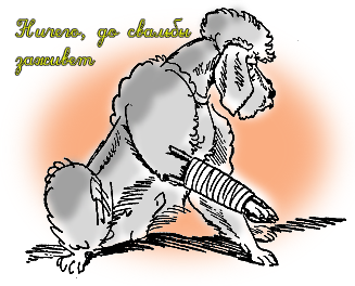 Маленькие ранки смазываем раствором йода.