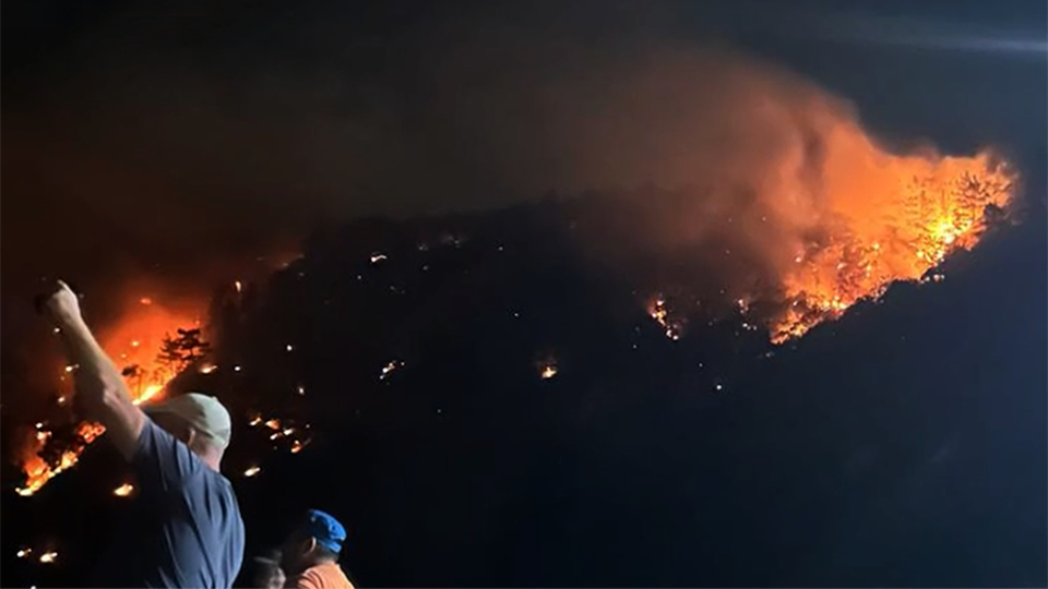 Фото: © Скриншот видео
