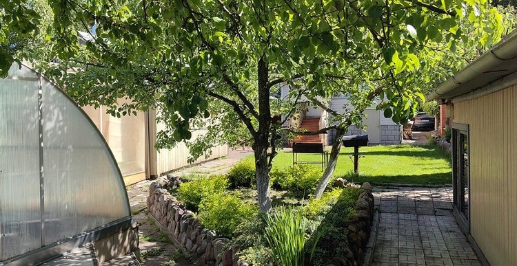    Фитоспорин и другие популярные биопестициды: инструкции по применению