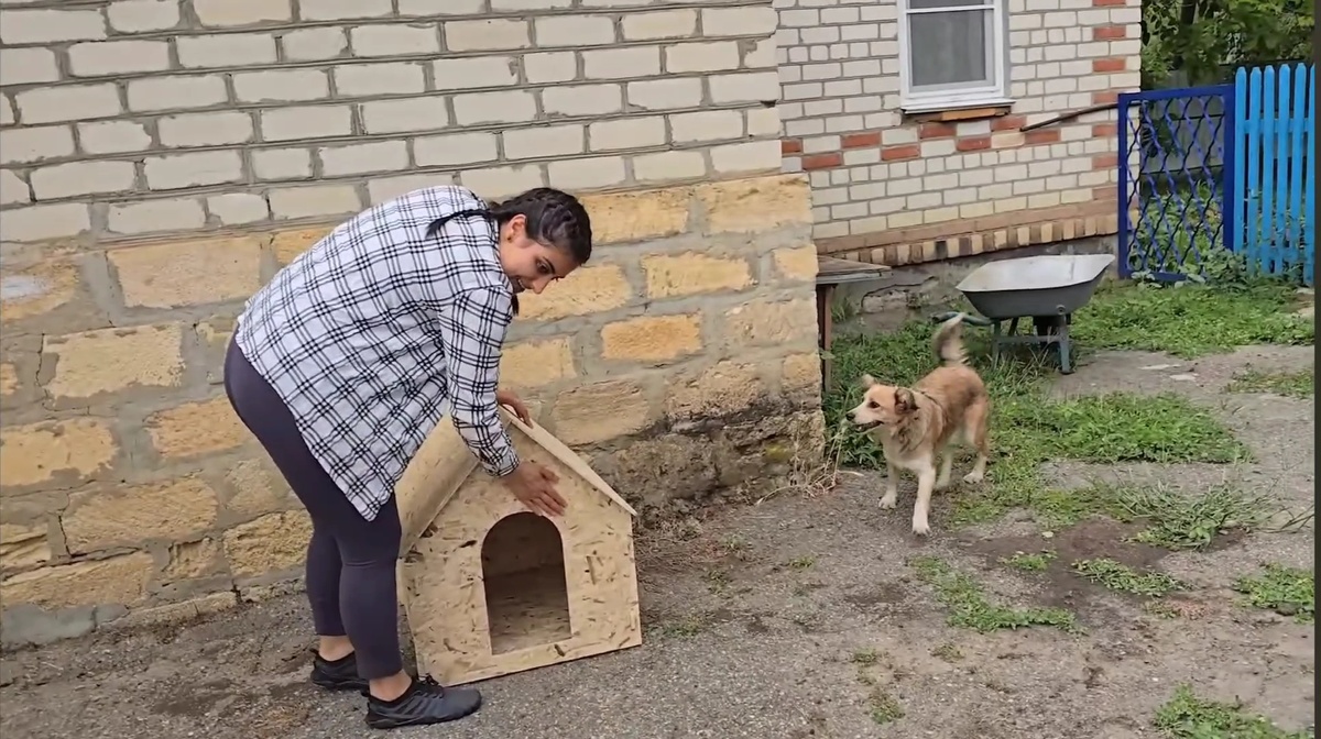  Дороги мои, вот и пришло время, нужен забор на участок, что бы забрать уже собак без рисков их побегов🥺.   Пока ставим 3д забор из самого толстого прута, почему?-2