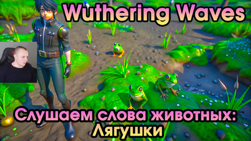 Wuthering Waves ➤ Слушаем слова животных: перевод языка лягушки ➤ Listen to Animals Words: Translation of Frog's Language Walkthrough ➤ WuWa