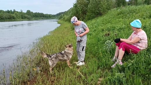 Мы рады, что у нас с собаками взаимное доверие и дружба. Волонтёрский день успешно продолжается