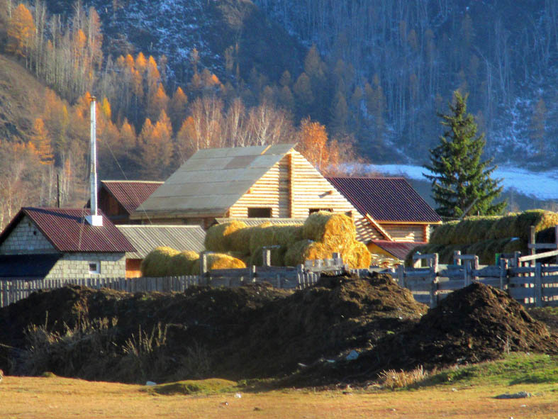 Верх-Уймон. Выставочный зал  Фото автора.