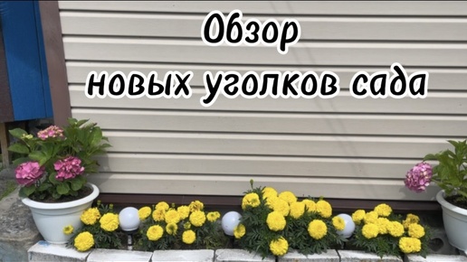 Мини обзор новых уголков сада на 10 июля 2024 года