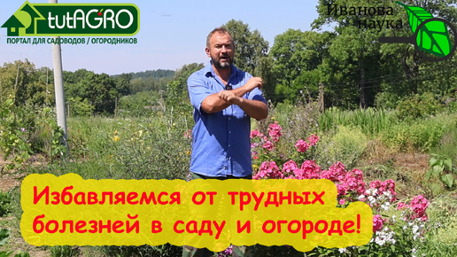 ВСЁ, ЧТО НУЖНО ЗНАТЬ, ЧТОБЫ ИЗБАВИТЬСЯ ОТ БОЛЕЗНЕЙ В САДУ и ОГОРОДЕ. Чем опрыскивать прямо по плодам.