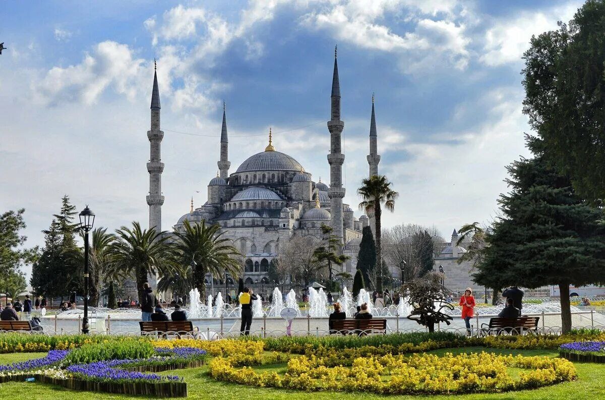 Источник фото -  https://avatars.mds.yandex.net/i?id=66988a4e1789450182ef9e7e14524eb1_l-9853874-images-thumbs&n=13