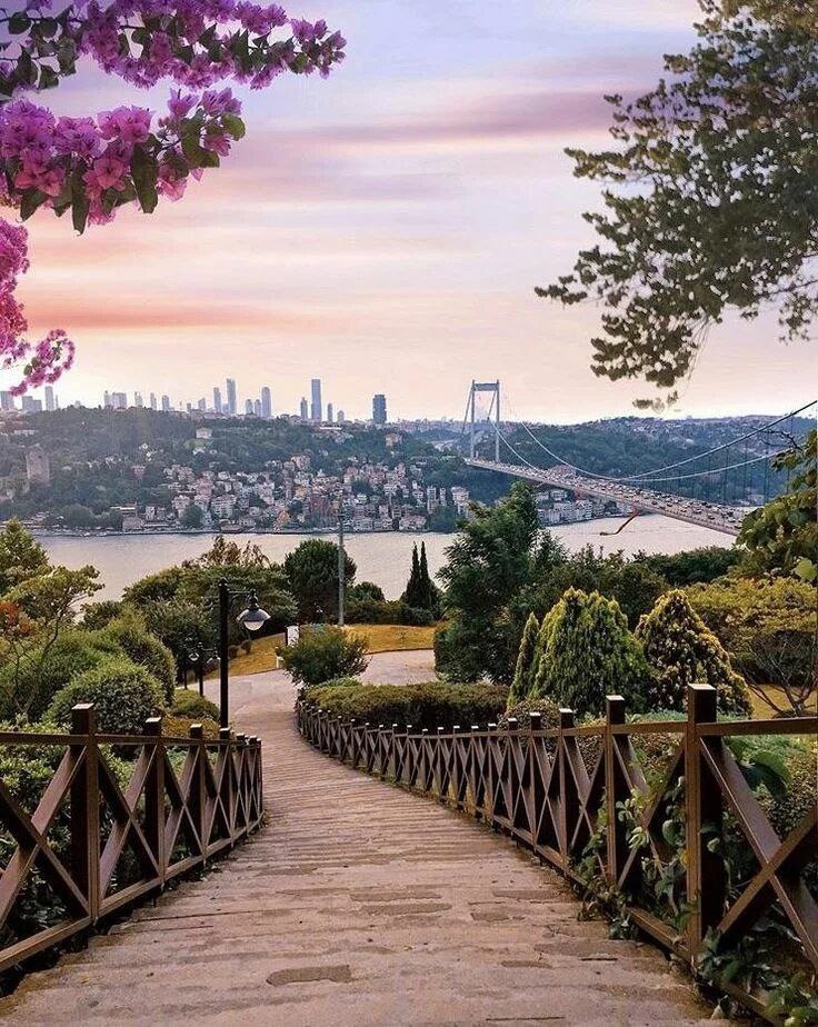 Источник фото - https://avatars.mds.yandex.net/i?id=c14af66829c7978385c533b9997dc30c_l-8312878-images-thumbs&n=13