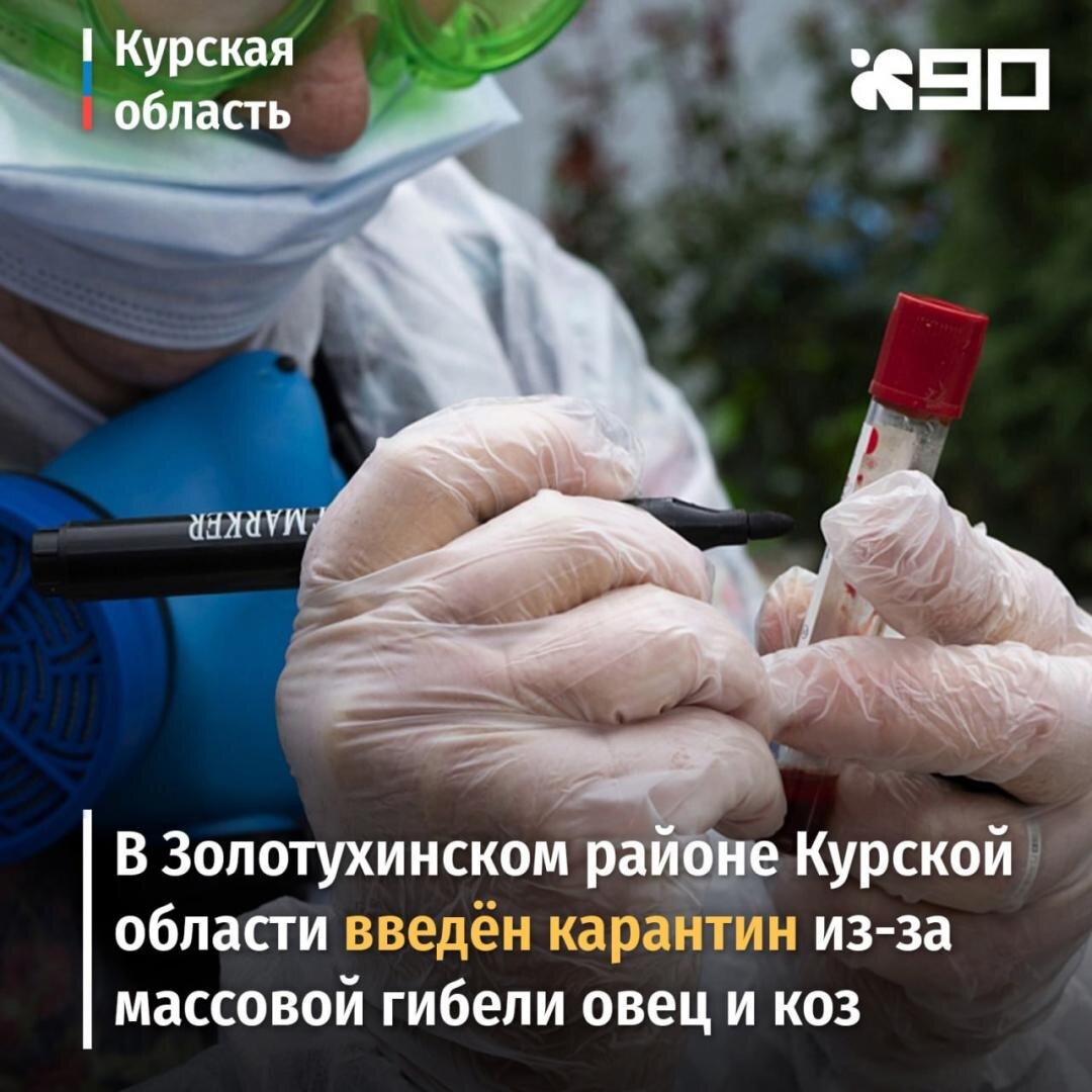    В Золотухинском районе Курской области введён карантин в связи с массовой гибелью коз и овец