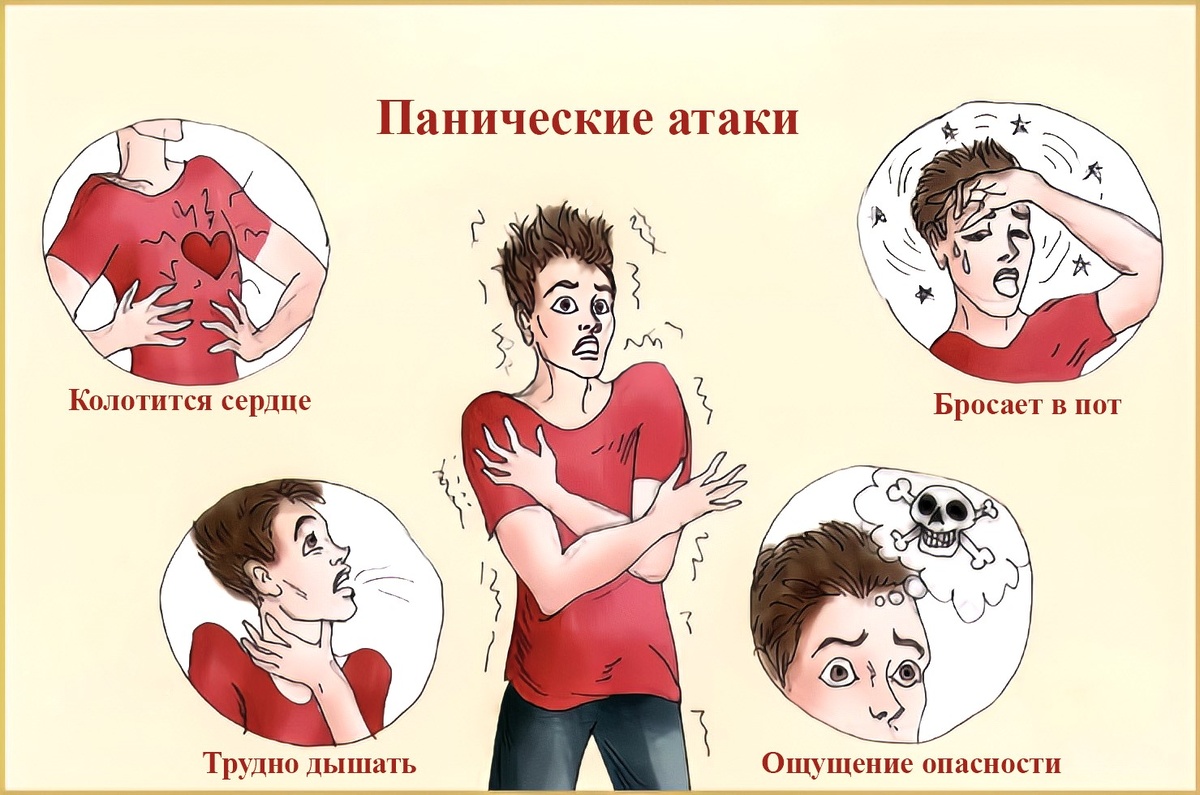 Взято из открытых источников интернета