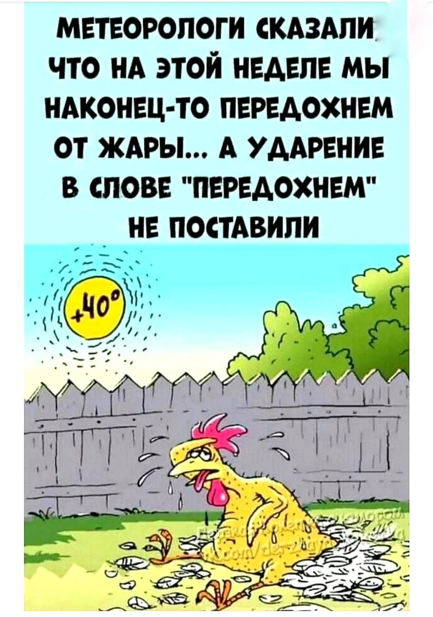 Фото из свободного доступа интернета.