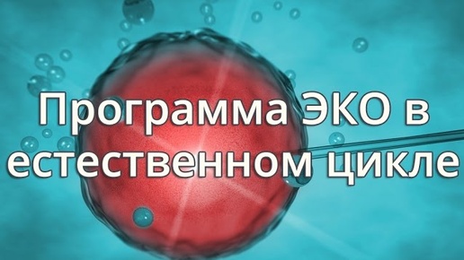 📍 Программа ЭКО в естественном цикле #бесплодие #репродуктолог #эко ИМЕЮТСЯ ПРОТИВОПОКАЗАНИЯ, НЕОБХОДИМА КОНСУЛЬТАЦИЯ СПЕЦИАЛИСТА