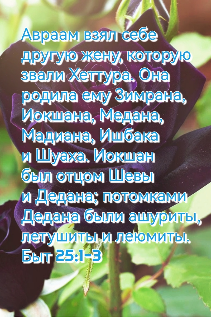 Книга Бытие, Глава 25, Стихи 1-3