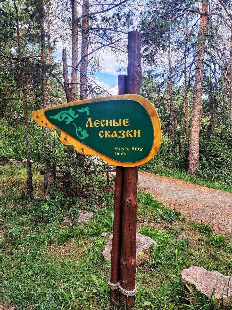 Асфальтированная и лесная дорожки идут бок о бок