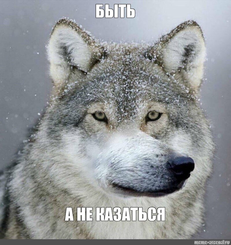 Безумно можно быть лохом