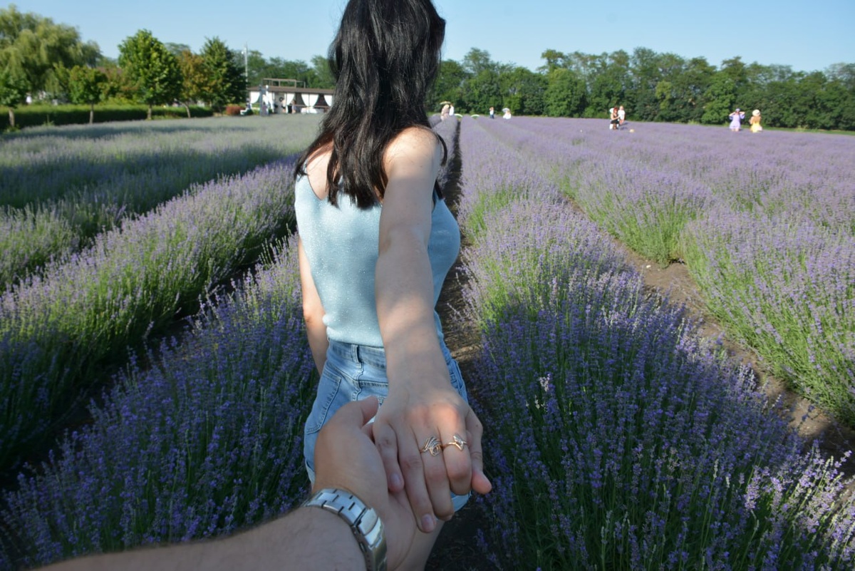 Фото автора. Июнь 2024 года