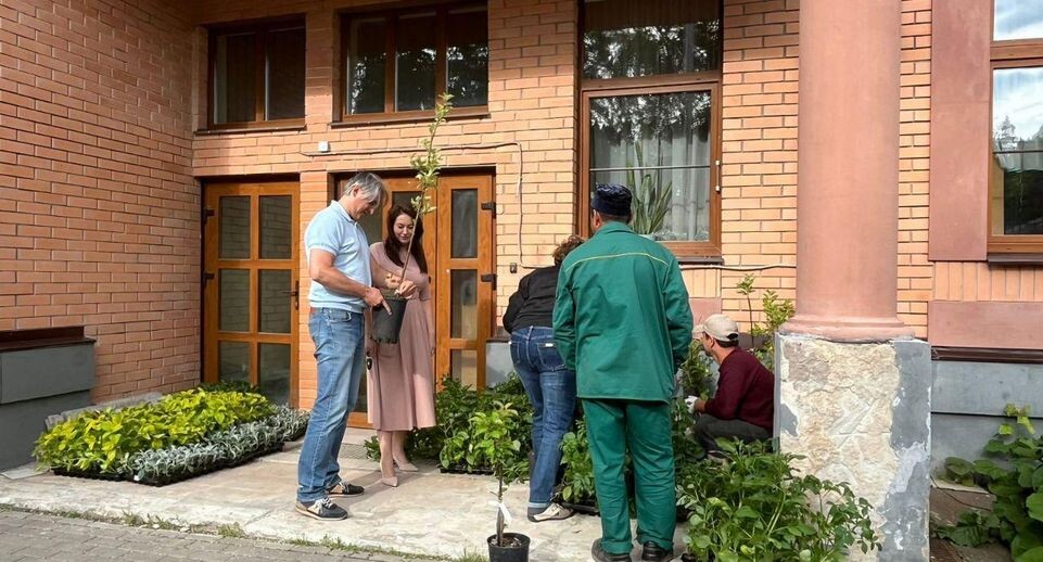    Администрация Химки г.о.