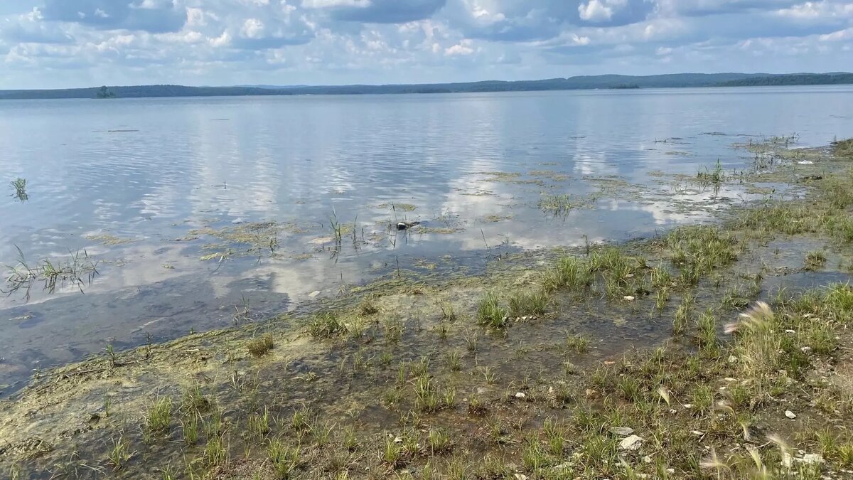     Источник: Анастасия Федякина/kursdela.biz