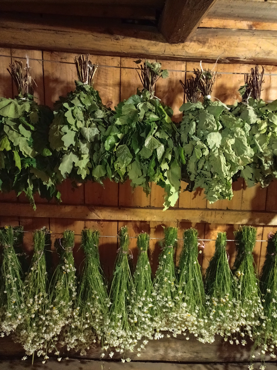 Веники дубовые и ромашка