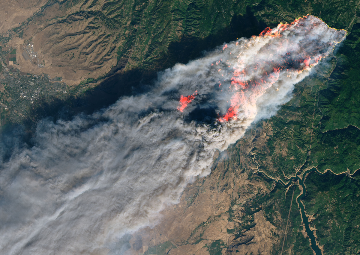 картинка взята с сайта https://yandex.ru/images/search?from=tabbar&img_url=https%3A%2F%2Flookaside.fbsbx.com%2Flookaside%2Fcrawler%2Fmedia%2F%3Fmedia_id%3D1950575481685270&lr=10990&pos=1&rpt=simage&text=ЗА%20ПОЖАРАМИ%20СМОТРЯТ%20ИЗ%20КОСМОСА