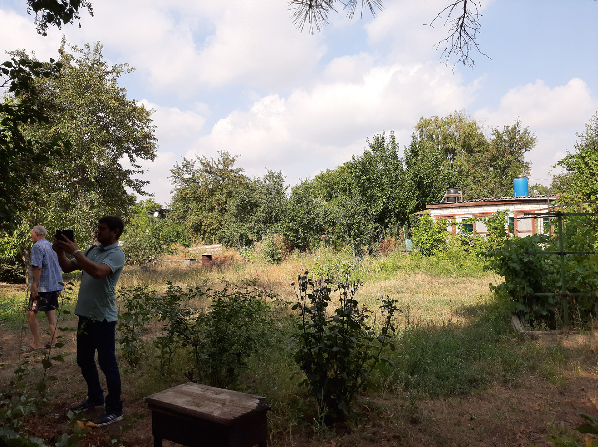 Дача мечты: трава по пояс и ни одного деревца