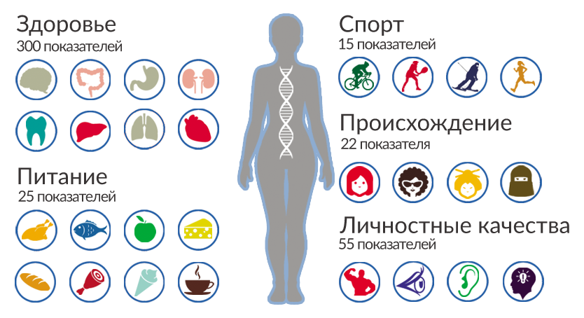 Источник: https://www.orgpage.ru | Большинство генетических тестов дают информацию о рисках развития заболеваний, рекомендации по питанию на основе генетической предрасположенности к усвояемости минерально-витаминных компонентов, а также личностные особенности индивида. Такие тесты по цене разнятся от 6000 до 10 000. Более дорогое тестирование оценивается в 20 000–50 000 рублей – оно способно дать ответы на более сложные вопросы, например, кто ваши предки? А врач-генетик даст ещё и рекомендации по образу жизни
