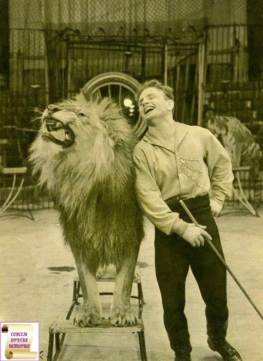 Общественное достояние