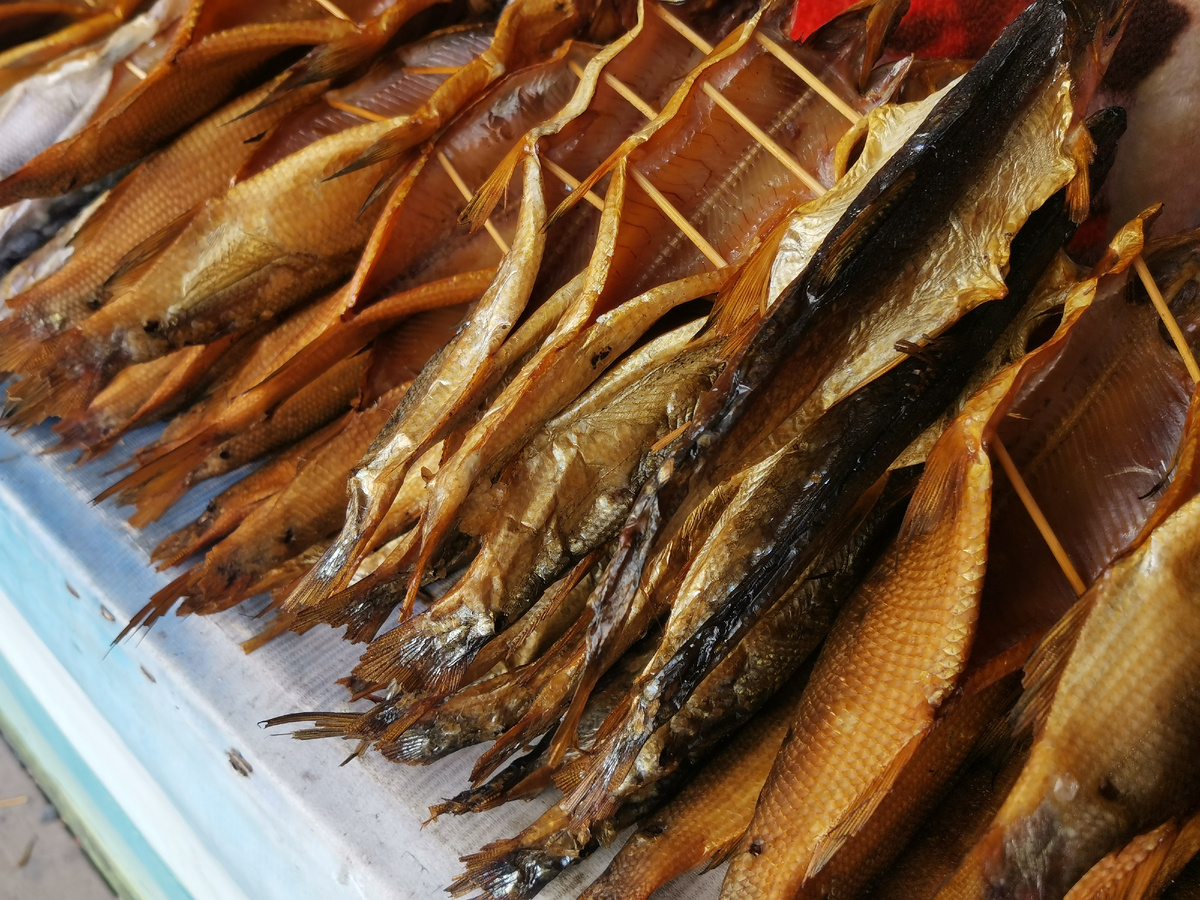 Омуль байкальский