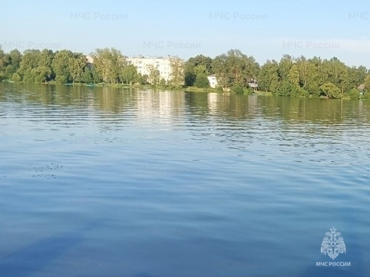     Фото: МЧС по Калужской области