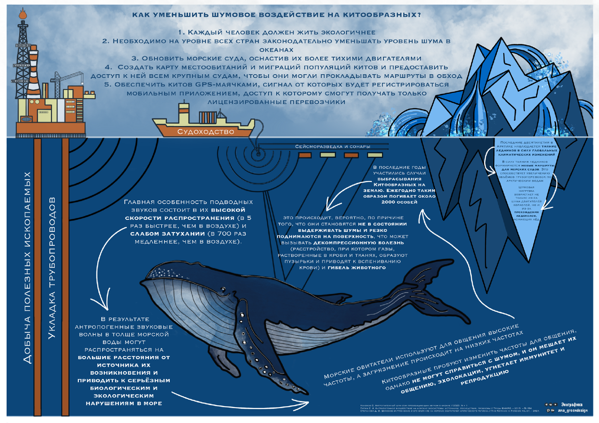 Иллюстрация 2. © Экографика. Инфографика о влиянии шумового загрязнения на Китообразных 