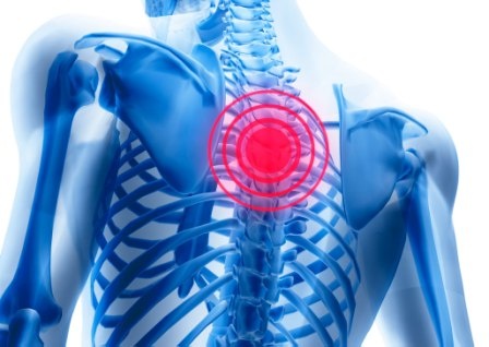 Изображение с сайта: builderbody.ru