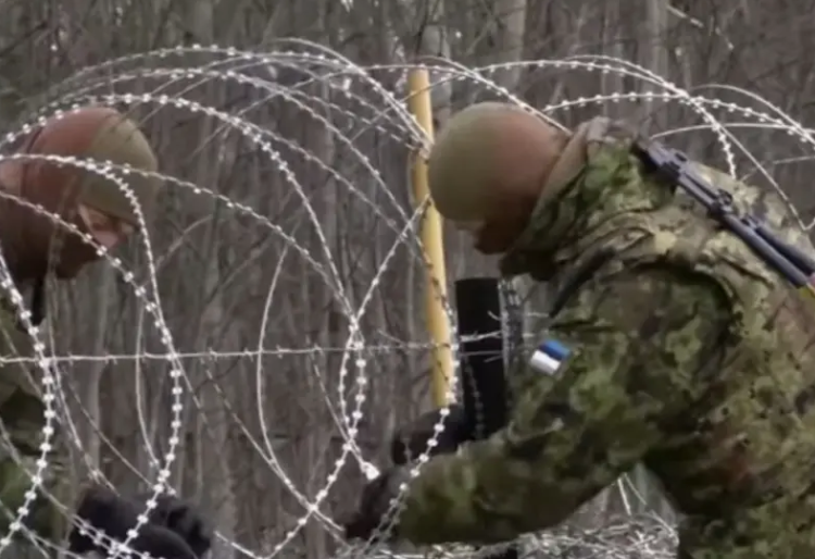 Эстонию по периметру решили затянуть в колючую проволоку (фото с сайта topwar.ru)