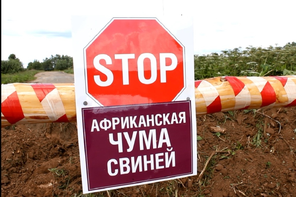 Карантин строго. Карантин строго