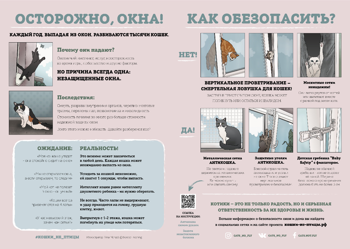 Фото: https://кошки-не-птицы.рф/