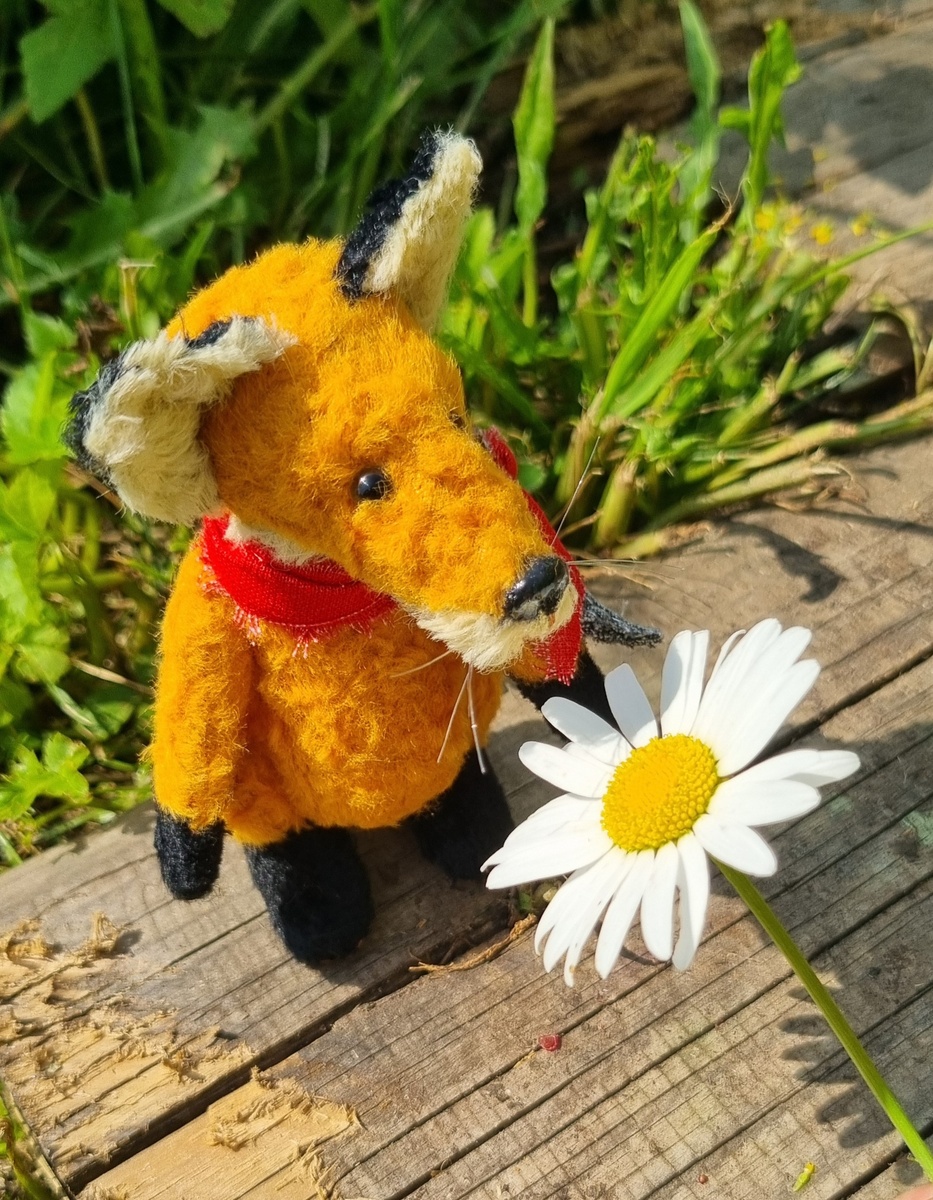 Лисьи радости