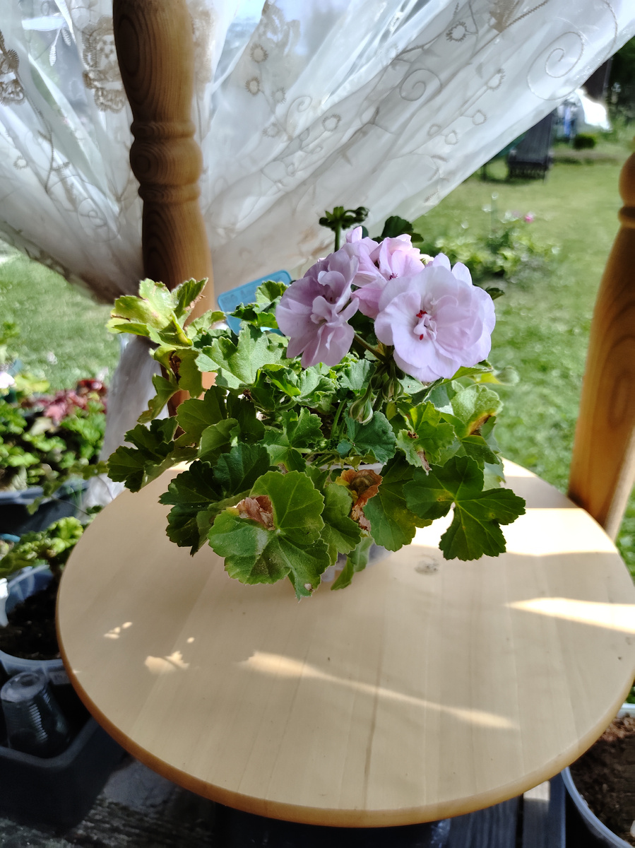 ЮВ Дайнерис 09.07.2024