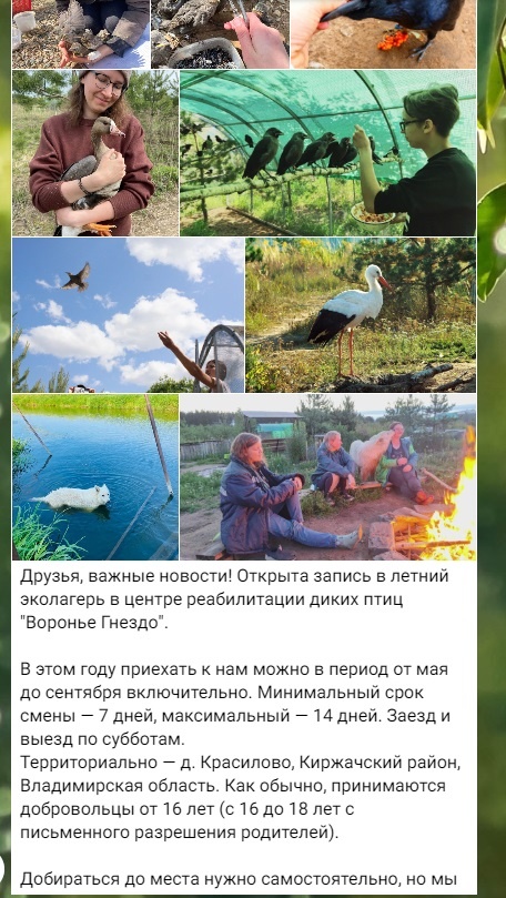 Волшебный пост в телеграм канале центра