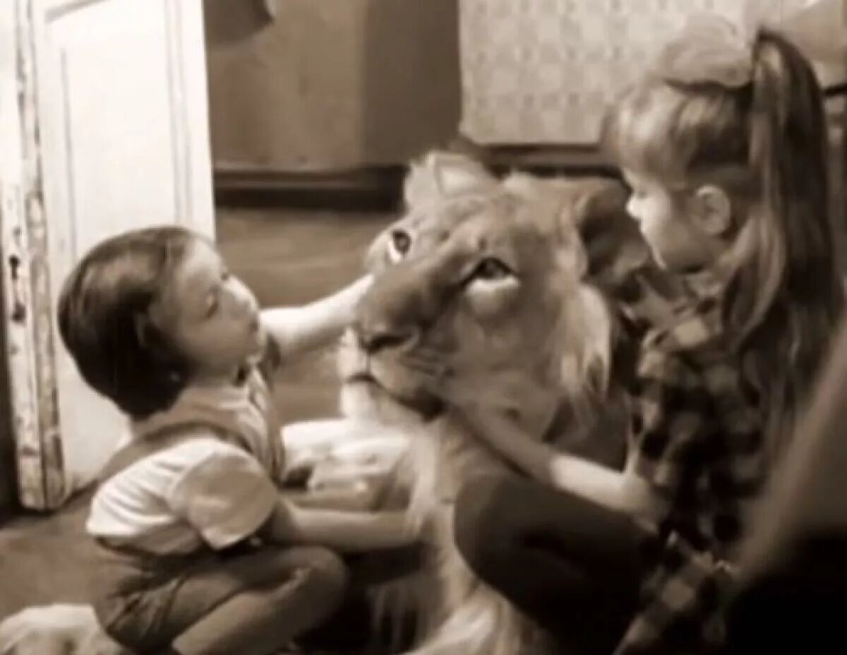 Рома, Ева и Кинг