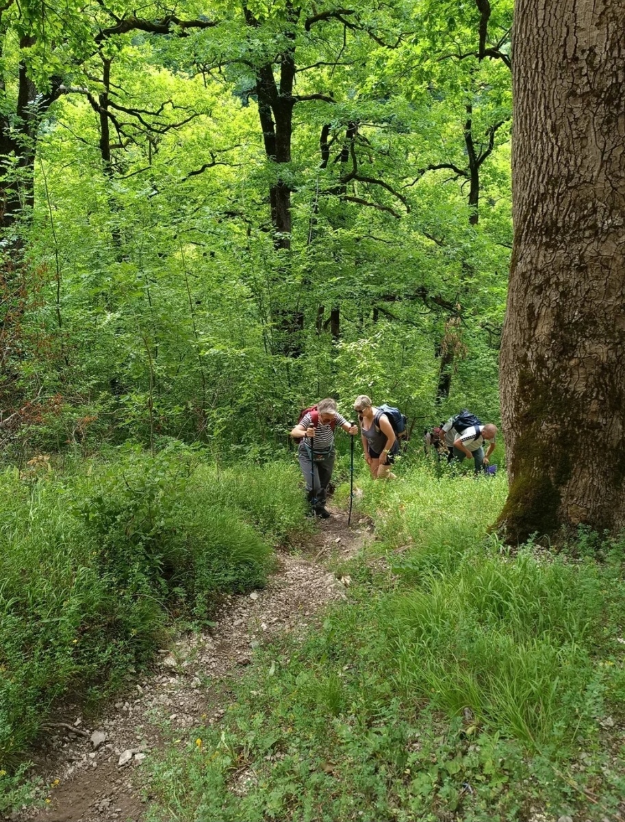 мне без палок было бы трудно
