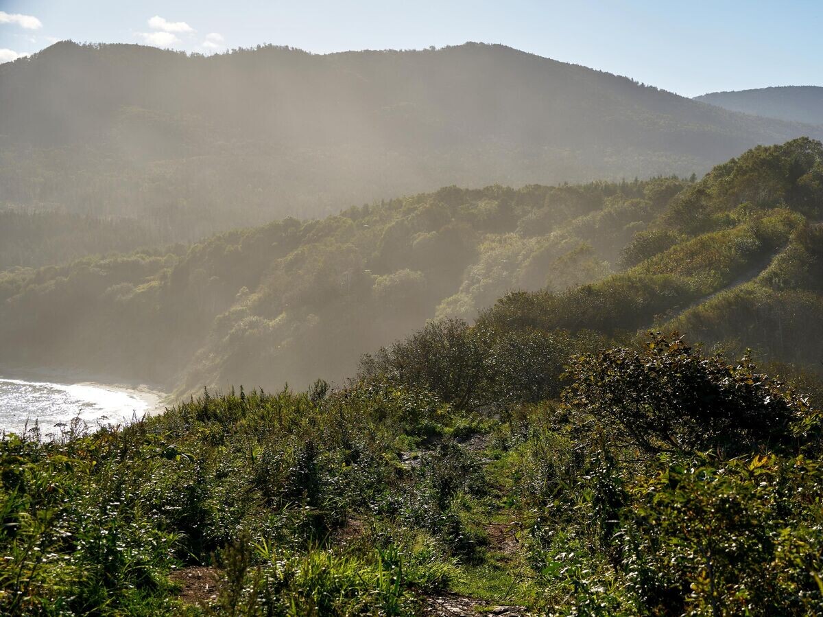    Регионы России. Сахалин© РИА Новости / Алексей Даничев