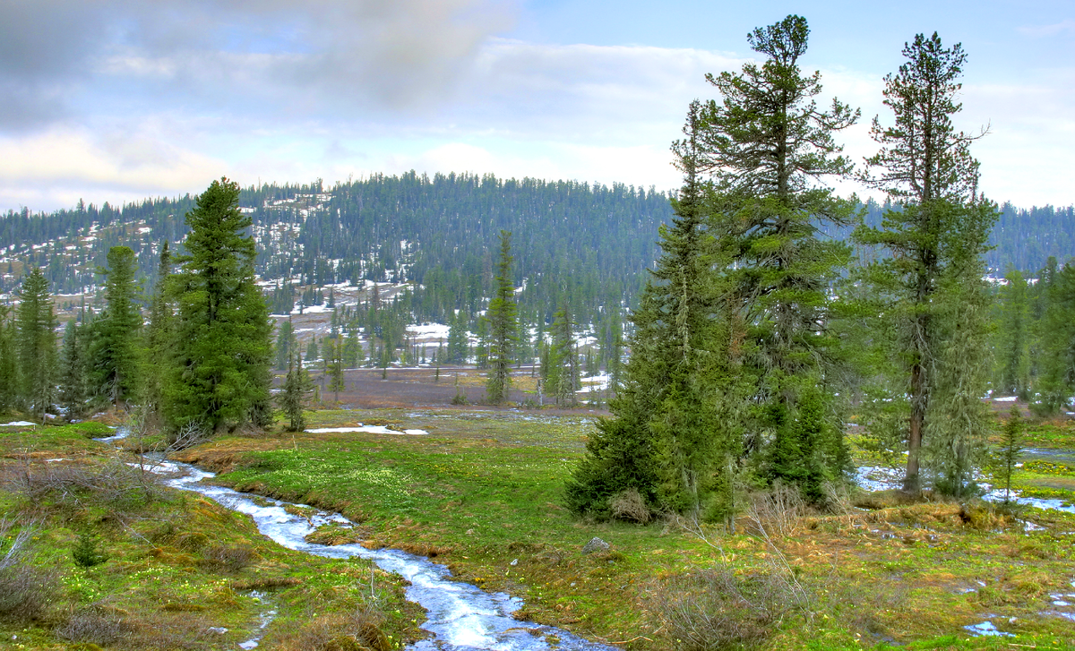 Фотография, стихотворение Василия Глуцкого