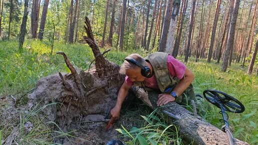 Услышал в корнях поваленного дерева отличный цветной сигнал и решил достать его, во чтобы-то ни стало.