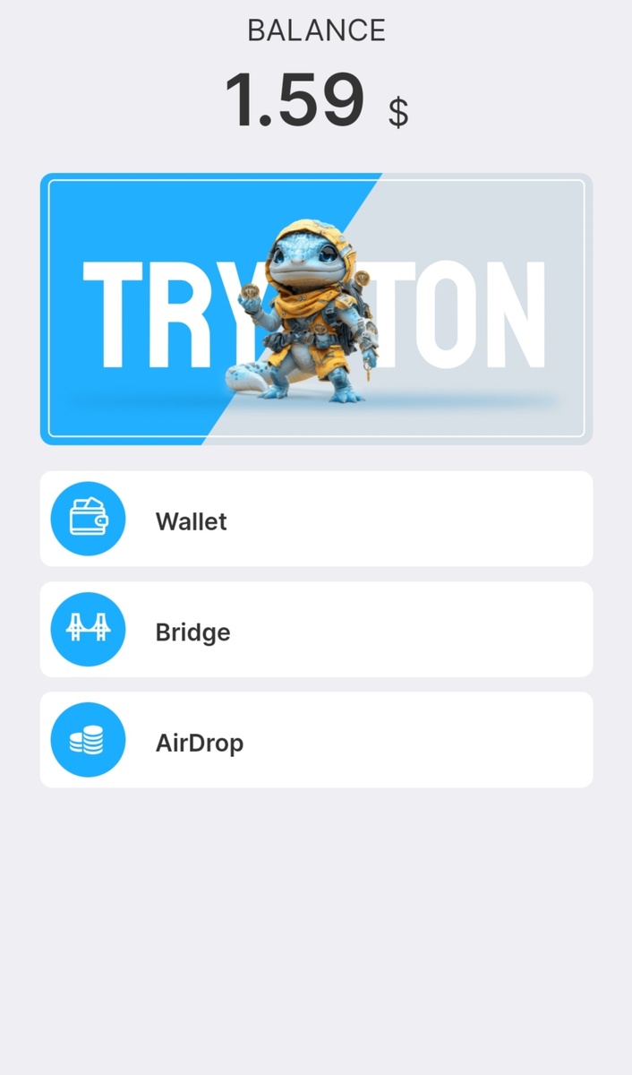 TryTON Wallet