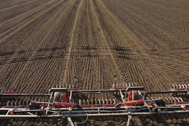    сельское хозяйство