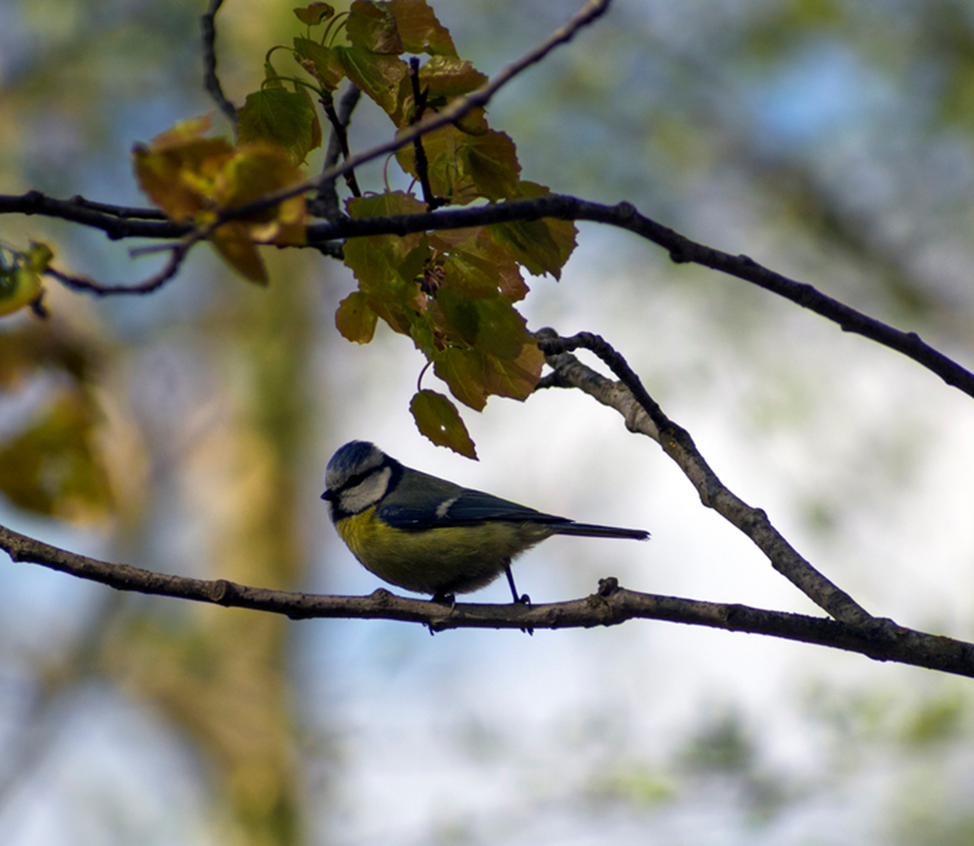 Фото из сторонних источников. 
