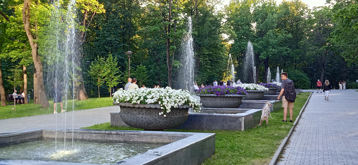 Фото автора