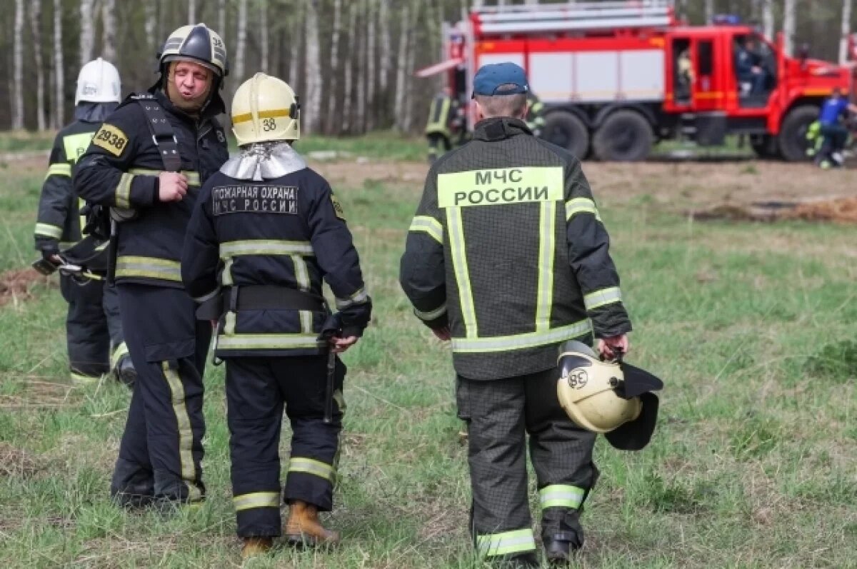    В Ленобласти предпринимателя задержали за поджог своих автобусов на КАД