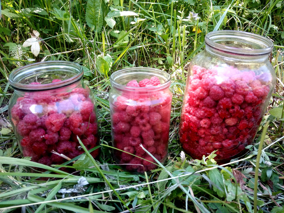 Вкуснятина