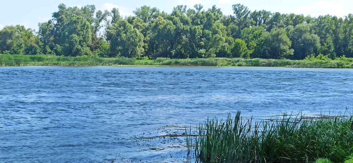 Наш Дон