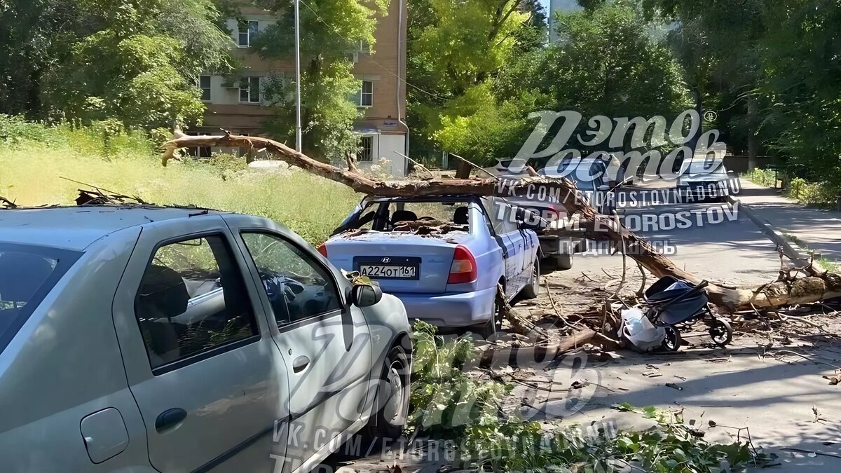     Источник: Это Ростов — ТГ