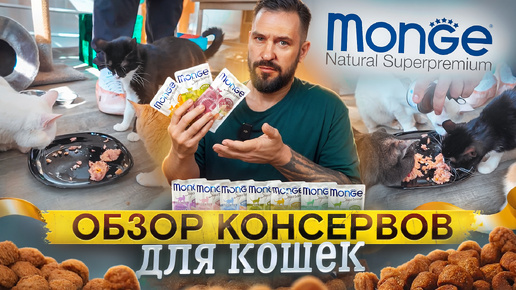 Аппетитный, ароматный, вкусный обзор консервов для кошек Monge Supreme | Влажный корм для кошек